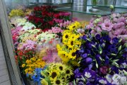 「フローラル２１」　（宮城県富谷市）の花屋店舗写真3