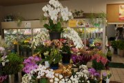 「フローラル２１」　（宮城県富谷市）の花屋店舗写真4