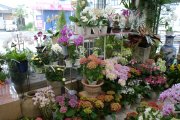 「フローラル２１」　（宮城県富谷市）の花屋店舗写真2